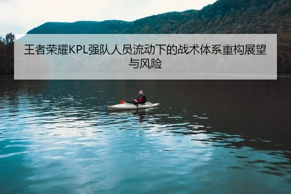 wang-zhe-rong-yao-qiang-dui-ren-yuan-liu-dong-xia-de-zhan-shu-ti-xi-zhong-gou-zhan-wang-yu-feng-xian-2-132.jpg